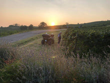 Load the image into the Gallery viewer, Torti PERLA ROSA Sparkling Rosè