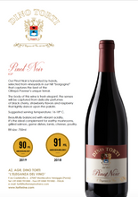 Load the image into the Gallery viewer, PINOT NOIR IGT James Suckling 91 points
